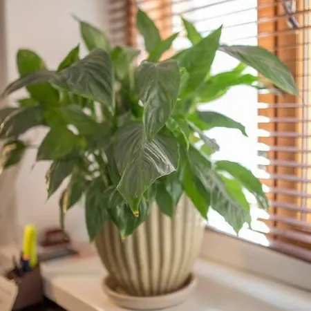 A Lovely Near Railway Station And Arena. Tampere