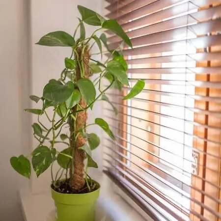 아파트 A Lovely Near Railway Station And Arena.