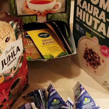 A Lovely Near Railway Station And Arena. 아파트 탐페레