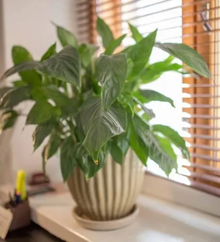 A Lovely Near Railway Station And Arena. Tampere