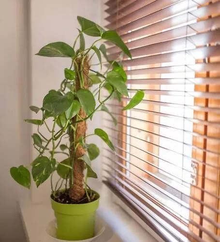 Apartment A Lovely Near Railway Station And Arena.