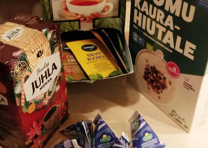 A Lovely Near Railway Station And Arena. Apartment Tampere