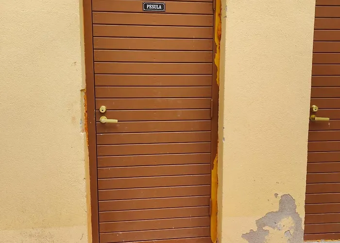 Apartment A Lovely Near Railway Station And Arena.